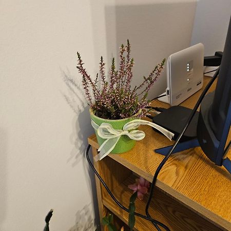 Apartman Noa 크닌 외부 사진